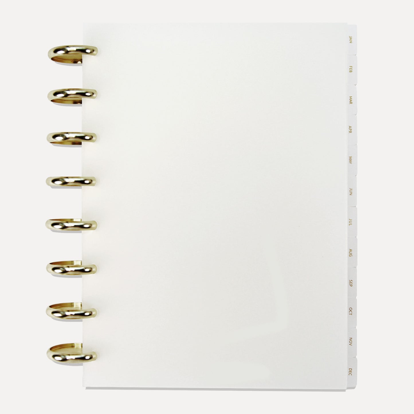 12 Month Dividers | A5 | Premium frost | Gold foil - zpieces