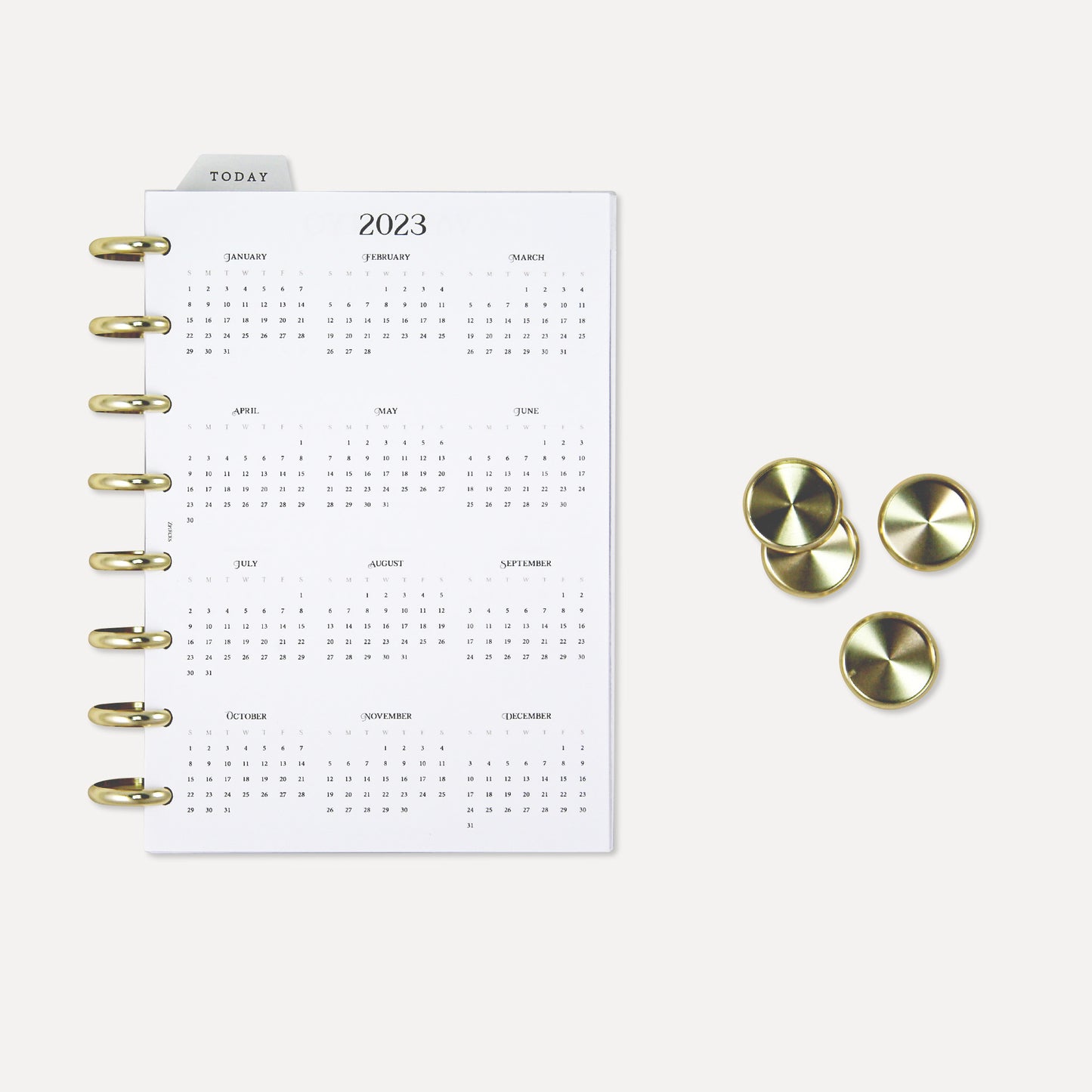 32mm | Premium Gold Disc Rings - zpieces